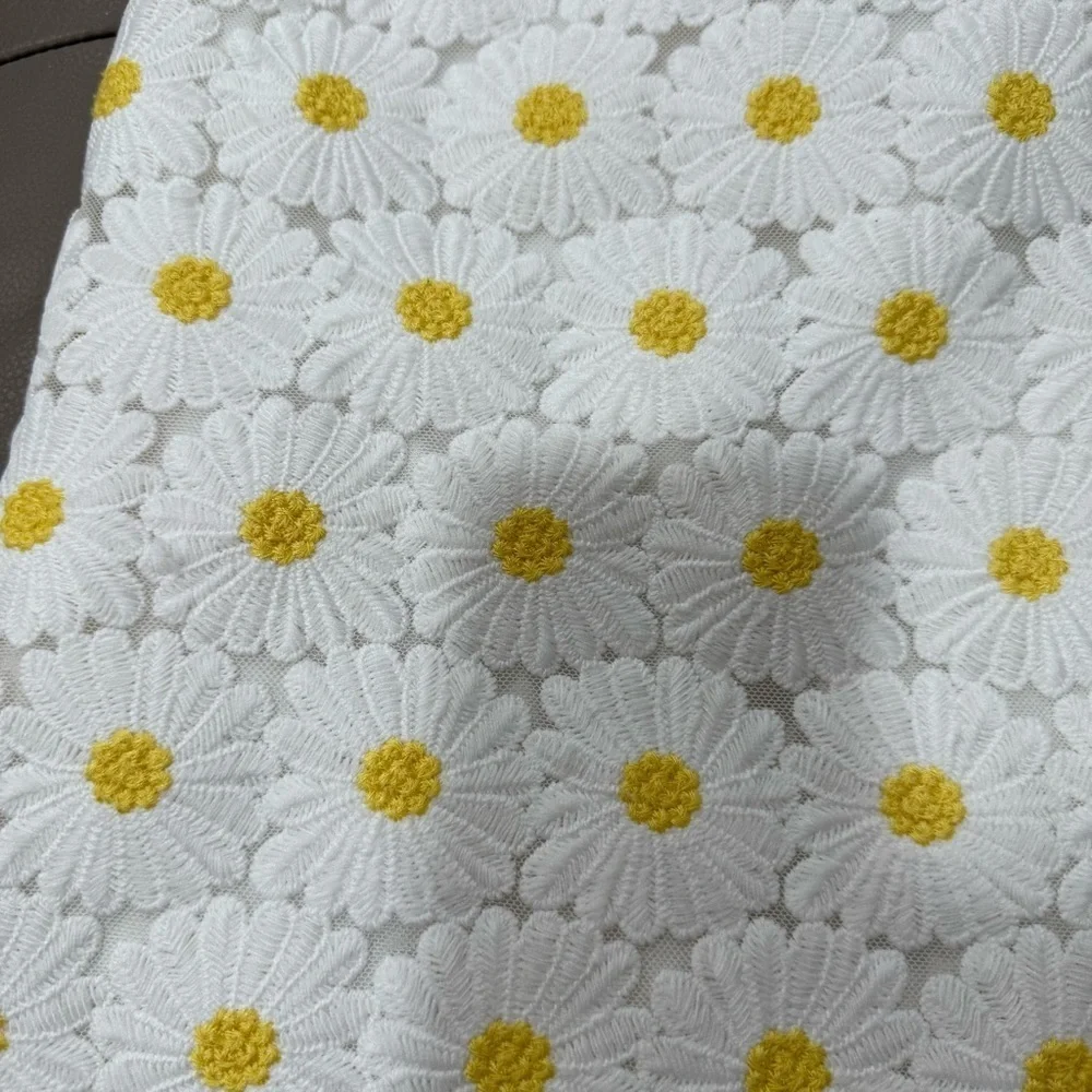 Gymboree daisy lace dress 2t